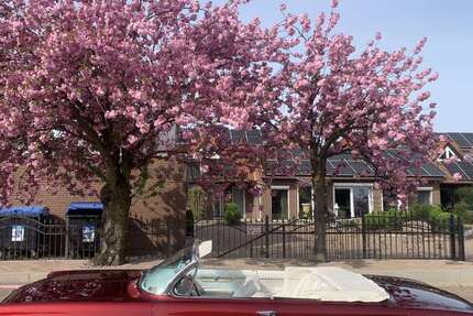 Oldsmobile Dynamic 88 9.999 km 49.500 &euro; Ronnenberg 30952