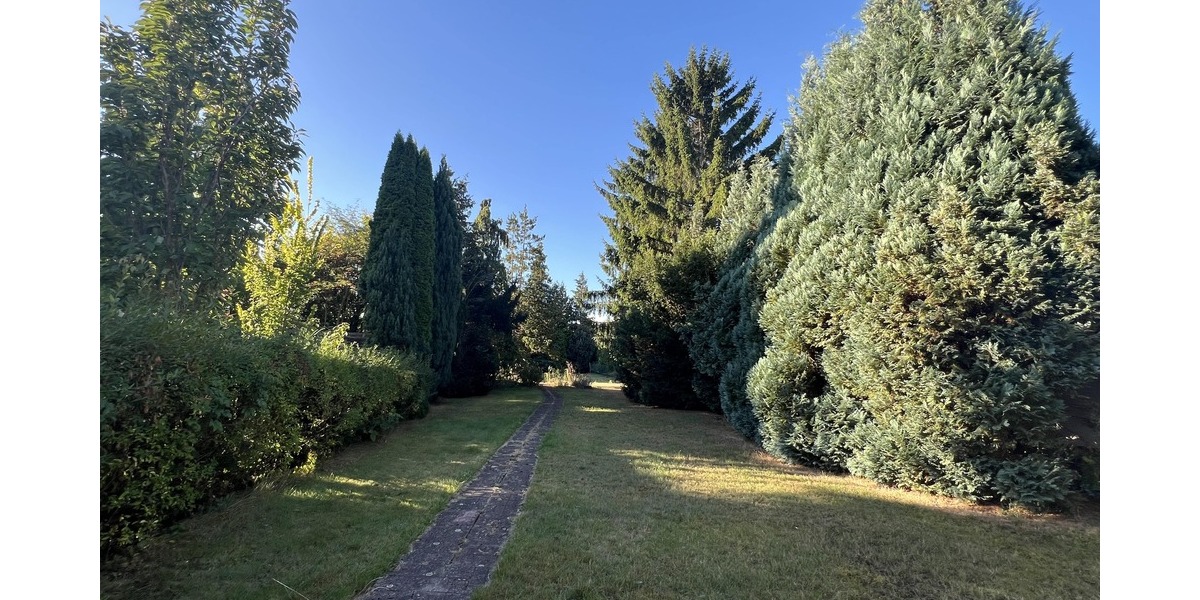 Blick in den Garten