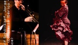 Flamenco meets Concierto Ibérico