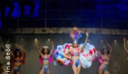 Anything Goes